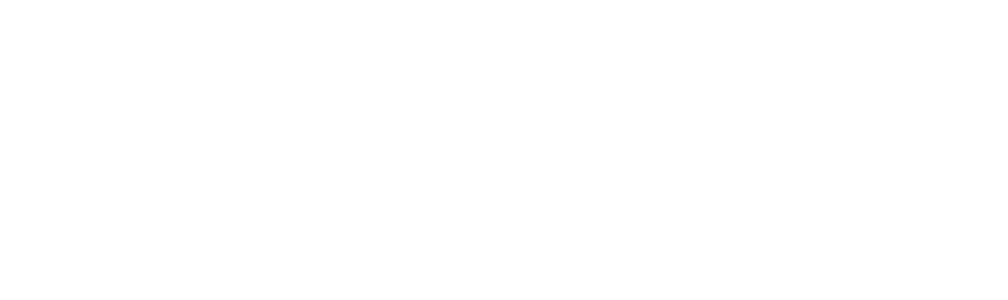 CoraPress Pro